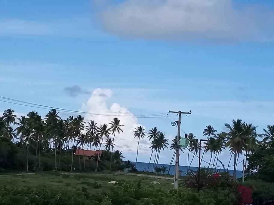 Apartamento Praia Dos Carneiros Tamandaré Eksteriør bilde